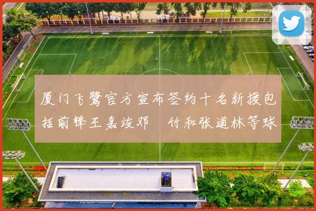 厦门飞鹭官方宣布签约十名新援包括前锋王嘉竣邓棽竹和张道林等球员