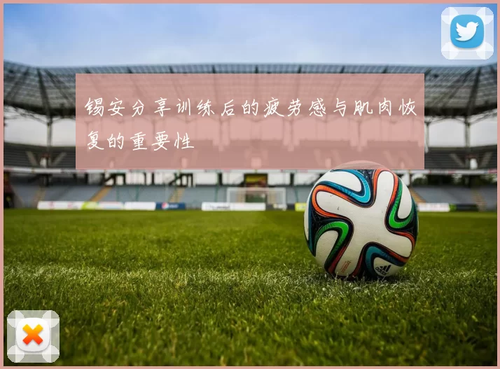 锡安分享训练后的疲劳感与肌肉恢复的重要性