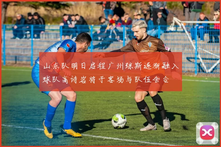 山东队明日启程广州琼斯逐渐融入球队高诗岩将于客场与队伍会合
